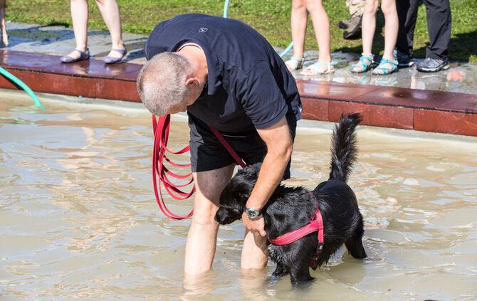 Planschparty für Hunde - Bild 38_67