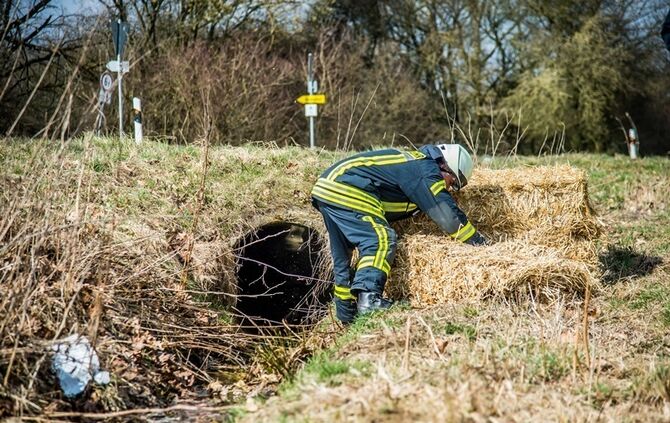 Leutenbach-Nellmersbach: Guelle laeuft in den Bach - Feuerwehr verhindert schlimmeres_16