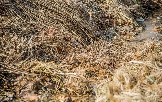 Leutenbach-Nellmersbach: Guelle laeuft in den Bach - Feuerwehr verhindert schlimmeres_15