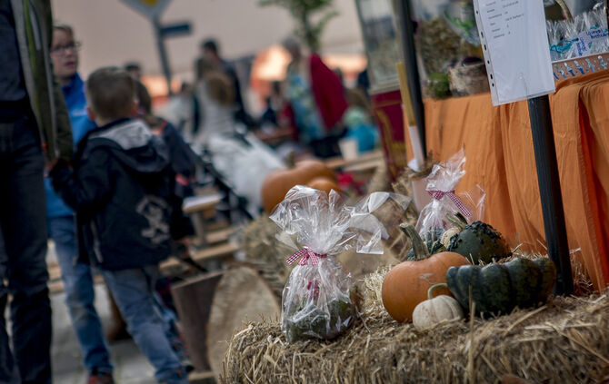 34. Floh- und Trödelmarkt Plüderhausen - Bild 04_5
