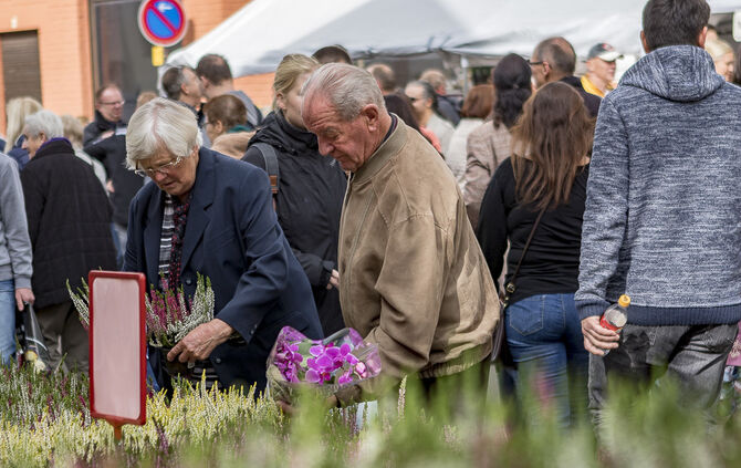 34. Floh- und Trödelmarkt Plüderhausen - Bild 12_11