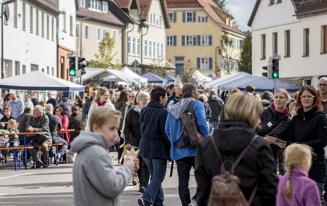 34. Floh- und Trödelmarkt Plüderhausen - Bild 13_12