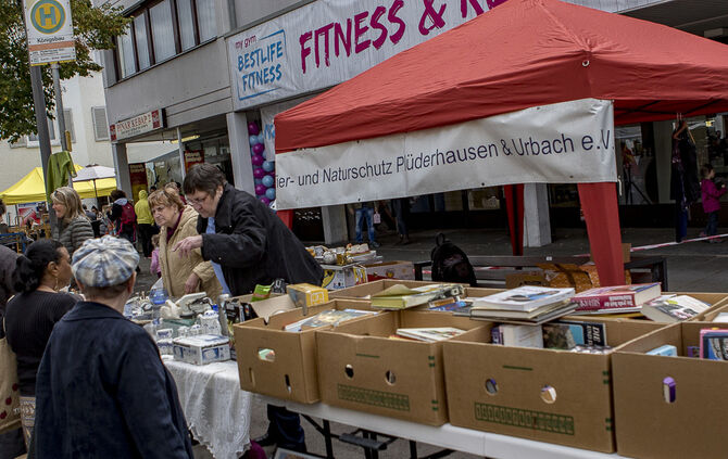34. Floh- und Trödelmarkt Plüderhausen - Bild 14_13