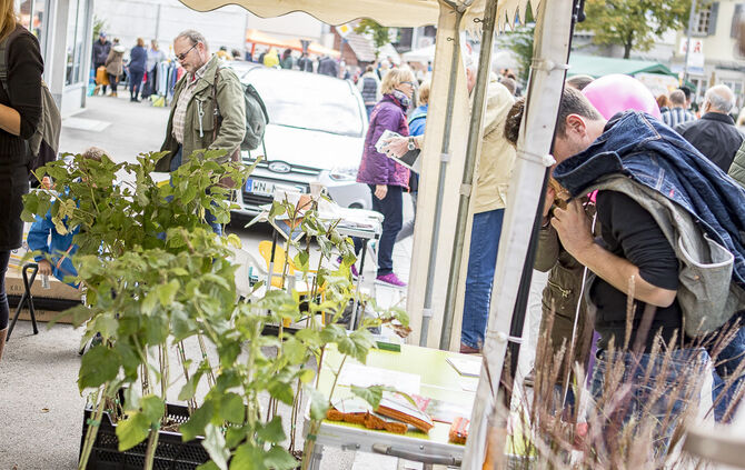 34. Floh- und Trödelmarkt Plüderhausen - Bild 23_20