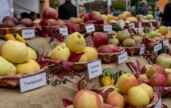 34. Floh- und Trödelmarkt Plüderhausen - Bild 25_22