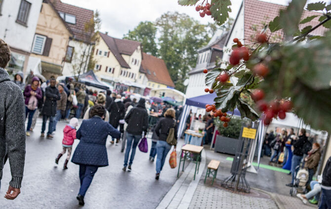 34. Floh- und Trödelmarkt Plüderhausen - Bild 28_25