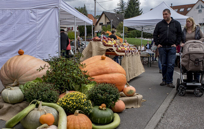 34. Floh- und Trödelmarkt Plüderhausen - Bild 34_30
