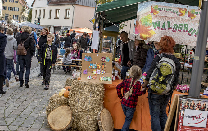 34. Floh- und Trödelmarkt Plüderhausen - Bild 44_38