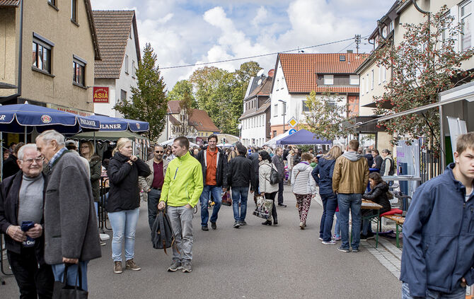 34. Floh- und Trödelmarkt Plüderhausen - Bild 48_41