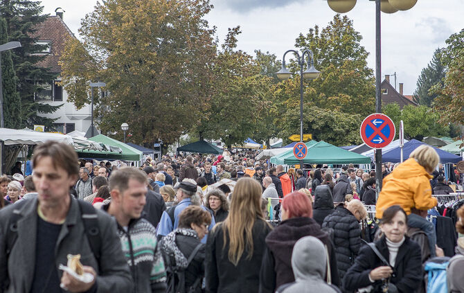34. Floh- und Trödelmarkt Plüderhausen - Bild 53_45