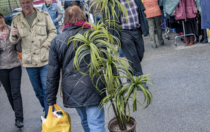34. Floh- und Trödelmarkt Plüderhausen - Bild 59_50