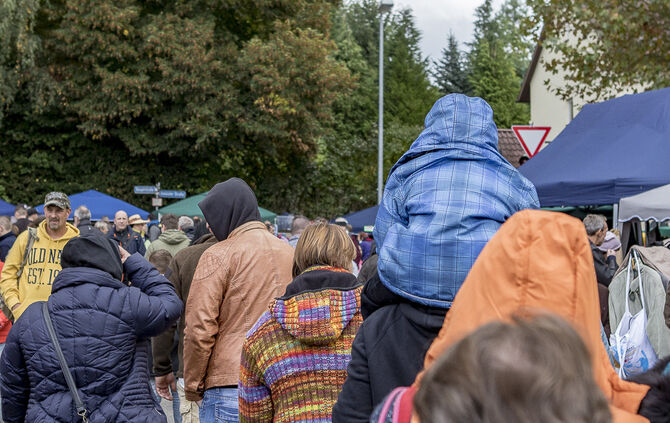 34. Floh- und Trödelmarkt Plüderhausen - Bild 40_53