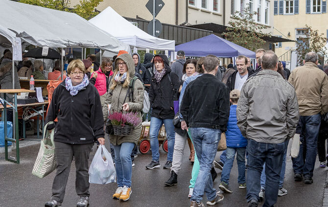 34. Floh- und Trödelmarkt Plüderhausen - Bild 47_56
