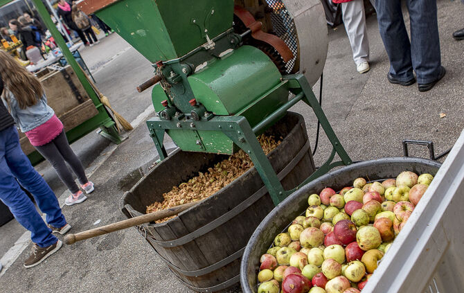 34. Floh- und Trödelmarkt Plüderhausen - Bild 43_58