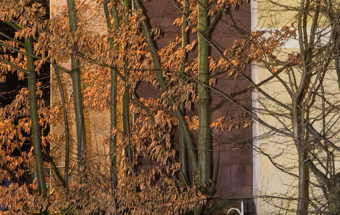 Brand in Beutelsbach_10