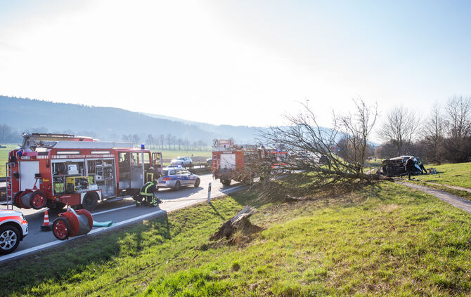Frontal gegen Baum_6