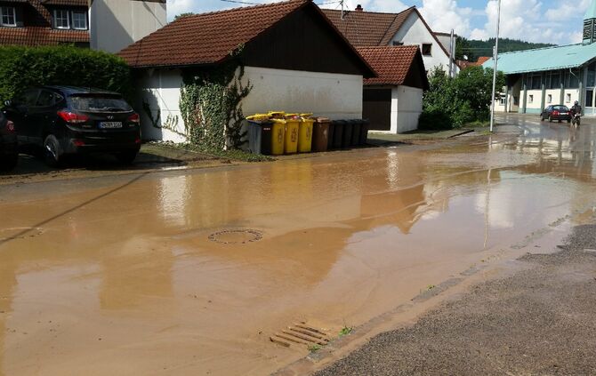 foto4_3
