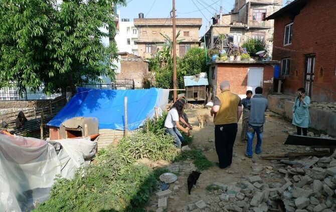 Patrick_at_damaged_house_2_7