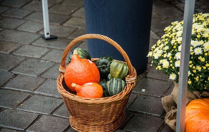 Fair essen, fair leben_44