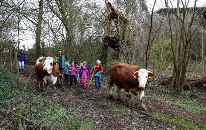 32b2b5e3-05a6-41e8-94cf-e4a0ee4543de.jpg_0