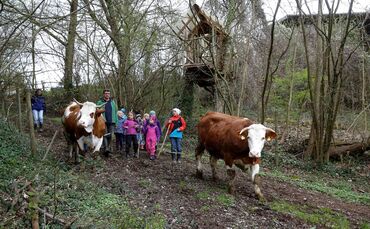 32b2b5e3-05a6-41e8-94cf-e4a0ee4543de.jpg_0