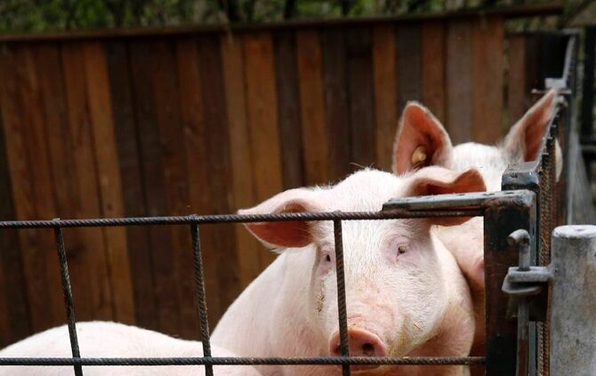 bee2a321-8100-4309-ae52-d035d29c430c.jpg_1