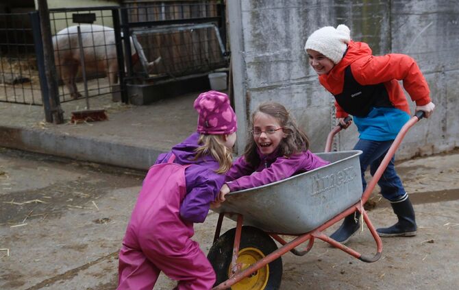 addb8e17-f631-478f-ba80-55bb32d4638a.jpg_3