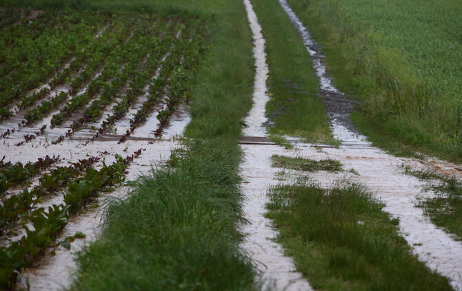 Starkregen sorgt für Überflutungen in Weiler zum Stein - Bild 25_1