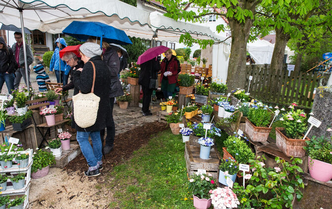 Remstäler Töpfermarkt_52