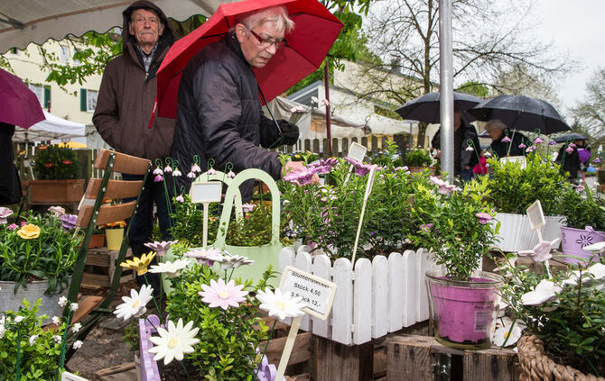 Remstäler Töpfermarkt_53