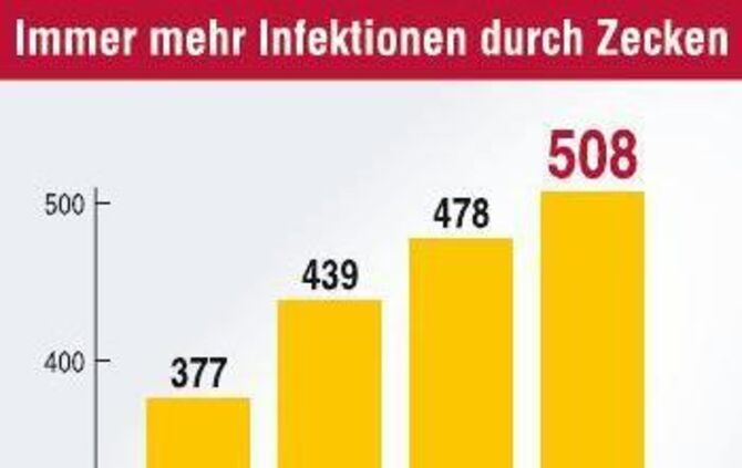 8d9f4b3f-8db4-4f67-a0eb-e7c1a26f20b1.jpg_2