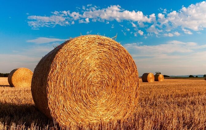 straw-bales-726976_960_720_0