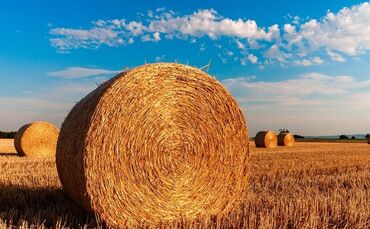 straw-bales-726976_960_720_0