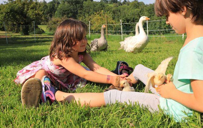 Bauernhof Kindergarten