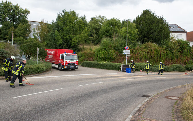 Ernte auf Straße verteilt - Bild 11_3