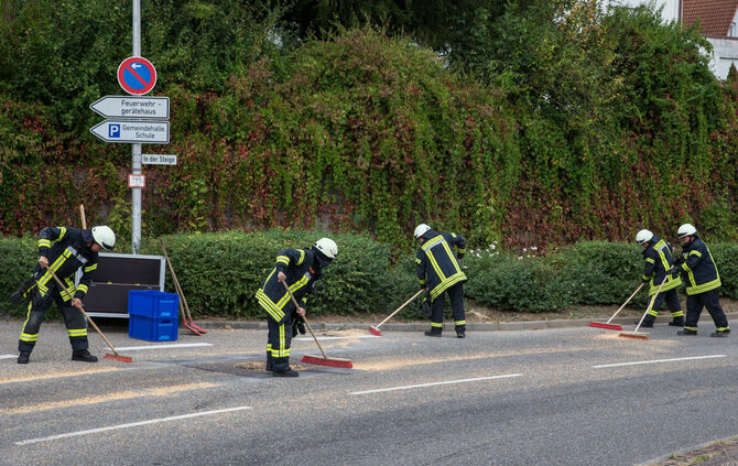 Ernte auf Straße verteilt - Bild 03_6