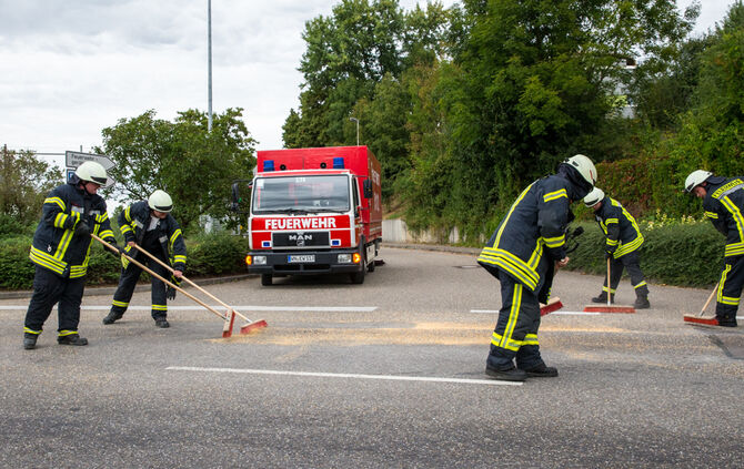 Ernte auf Straße verteilt - Bild 10_7
