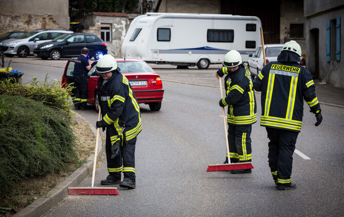Ernte auf Straße verteilt - Bild 06_8