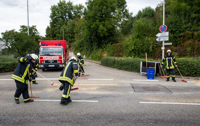 Ernte auf Straße verteilt - Bild 04_9