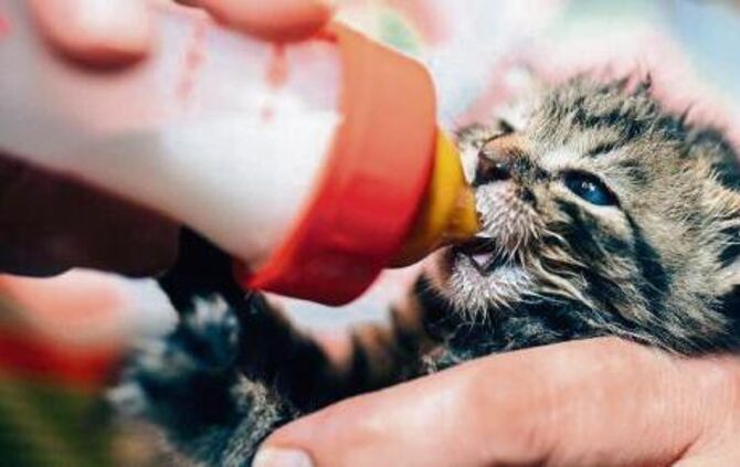 d833af17-4daf-459f-995c-f817a0c801cc.jpg_0