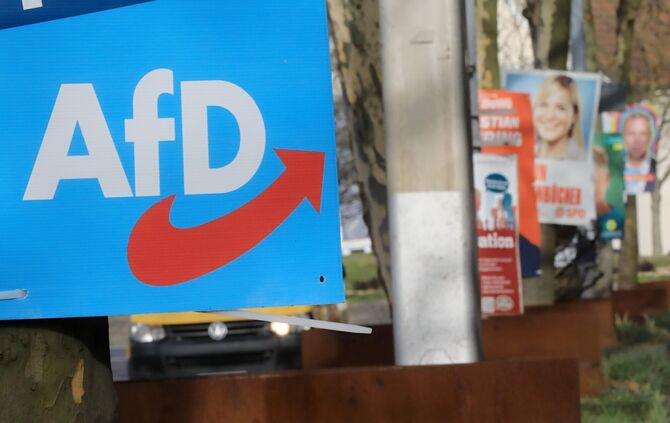 AfD Plakat Wahlplakat Landtagswahl Symbol Symbolbild Symbolfoto