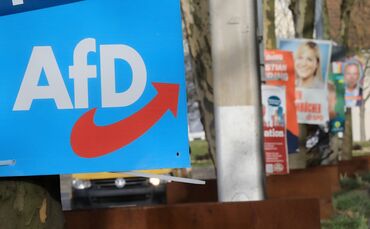 AfD Plakat Wahlplakat Landtagswahl Symbol Symbolbild Symbolfoto