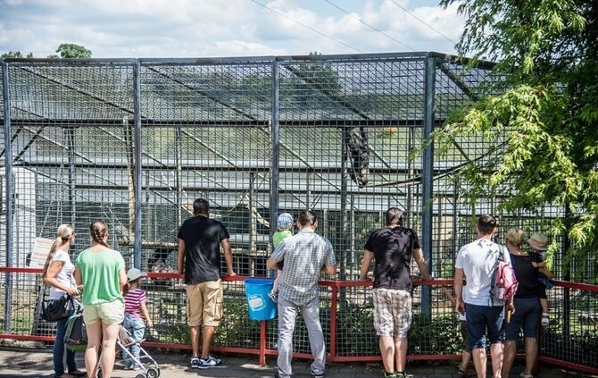 Neue Attraktion im Schwaben Park - Bild 37_9