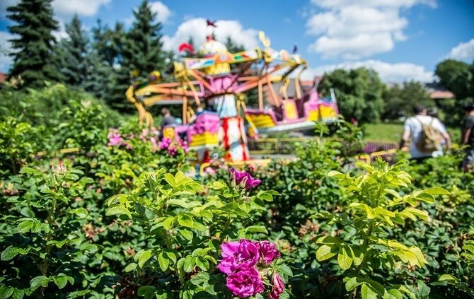 Neue Attraktion im Schwaben Park - Bild 27_19