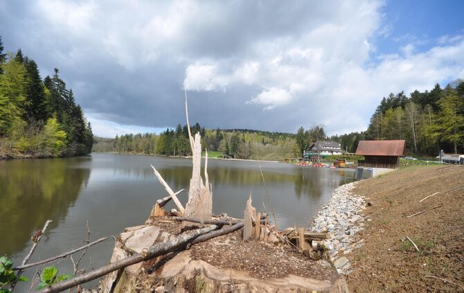 1eea1c2b-7d09-45ff-a850-1923312d7a16.jpg_2