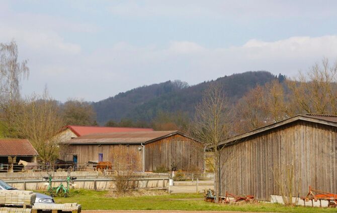 579d4f5c-a099-4eeb-b8cb-797fdef8c591.jpg_3