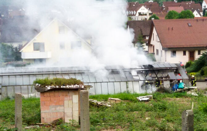 Brand in Gewächshaus - Bild 15_1