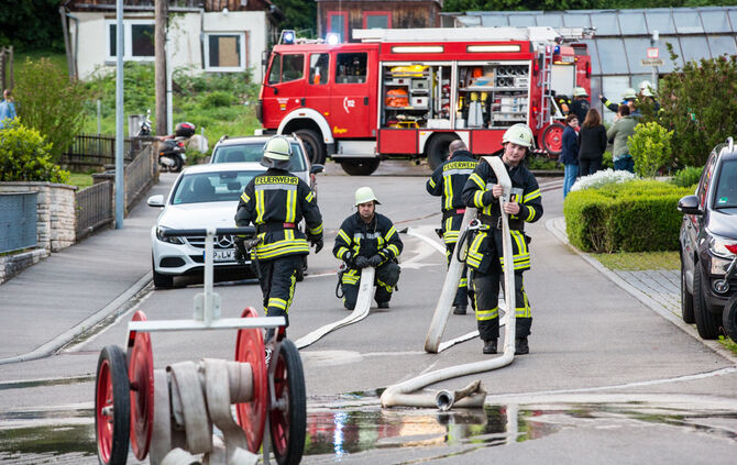 Brand in Gewächshaus - Bild 01_3