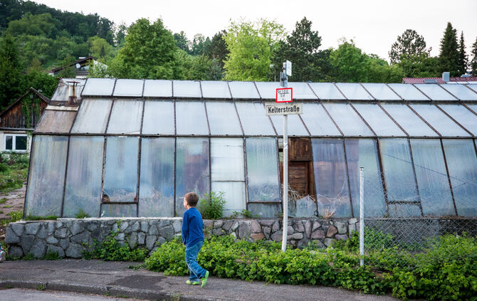 Brand in Gewächshaus - Bild 13_14