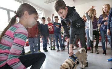 Paedagogenhundanton_0